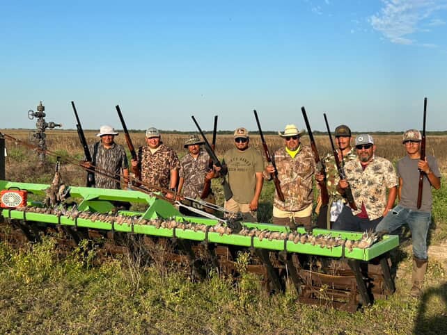 Whitewing dove hunt South Texas