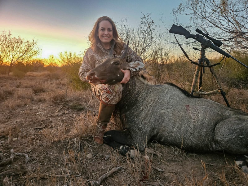 Texas Nilgai hunt Lesco Outfitters