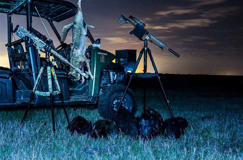 Predator hunting South Texas