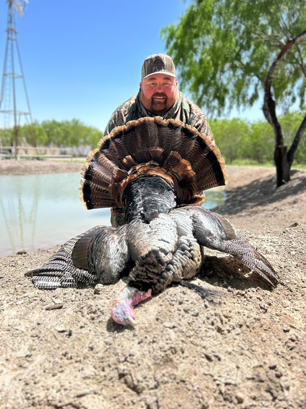 Spring turkey hunt South Texas