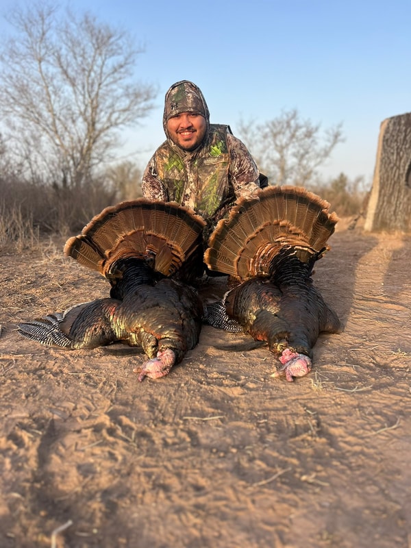 Turkey hunting guided trip