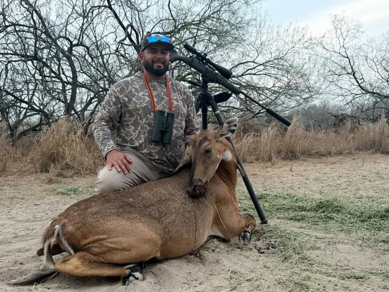 Whitetail deer hunting South Texas