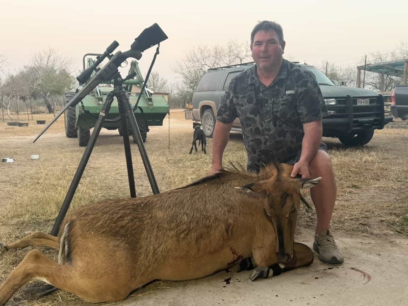 Whitetail buck South Texas