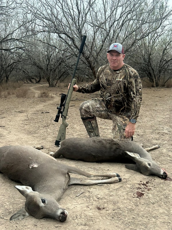 Whitetail deer South Texas